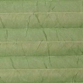 Краш перла 5586 зеленый, 225см